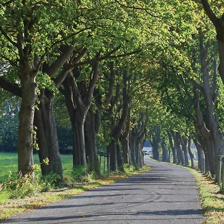 Prázdninový dům 2